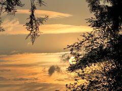 -莲池书院博物馆