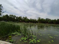 -太阳宫公园