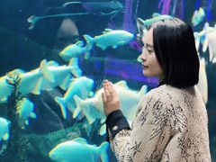 -哈尔滨波塞冬海底世界