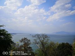 -洱海月湿地公园