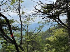 -塔云山