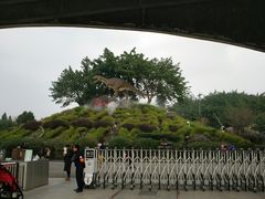 -自贡恐龙博物馆