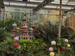 -南宫五洲植物乐园