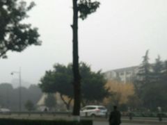景点-神仙树公园