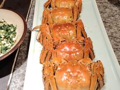 -南京大牌档(中关村领展广场店)