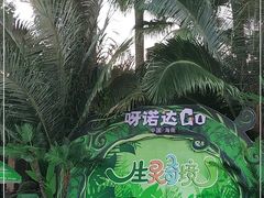 -呀诺达热带雨林