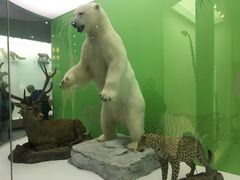 -国家自然博物馆