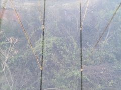 -梅岭月亮湾山体公园