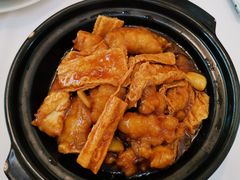 支竹焖龙趸-御彩酒家(东风东路店)