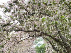 -元大都城垣遗址公园