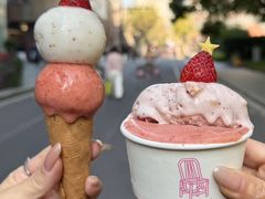 -红楼HONGLOU Gelato(淮海中路店)
