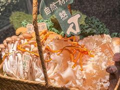-大龙燚·旷野鲜火锅(广州首店)
