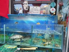 -牟记江湖重庆地标特色菜鱼蛋海鲜无刺鲫鱼(巴南区黑金冠十多年好店)
