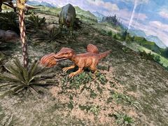 -吉林省自然博物馆