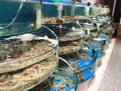 水产区-蓝珊甄选海鲜自助·火锅大排档(近阿那亚店)