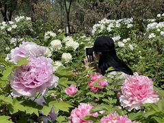 -洛阳市隋唐城遗址植物园