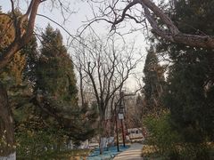-宣武艺园