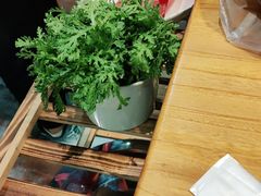 -老诚一锅羊蝎子(黄寺大街店)