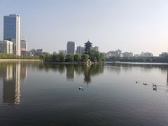 -迎泽公园