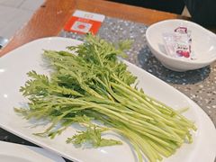 -华晟山城火锅(开发区港西东阁里店)
