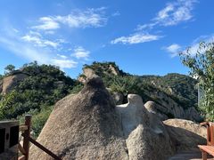 -大岭沟猕猴桃谷风景区