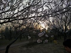 -长白岛森林公园