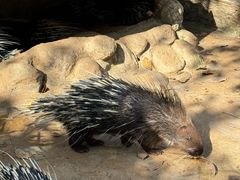 -海南热带野生动植物园