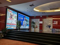 -上海金逸影城(静安大悦城店（原新恒星影城）)