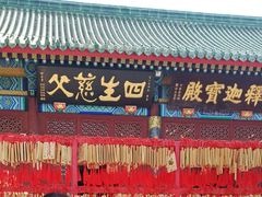 -天津大悲禅院