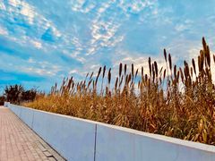-上海山野camping·户外天幕烧烤·团建拓展营地