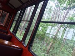 -合肥滨湖国家森林公园