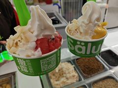 -Salud撒露欧洲冻酸奶(五道口购物中心店)