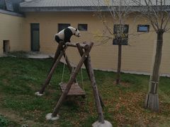 -石家庄市动物园