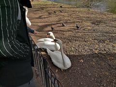 -海德公园