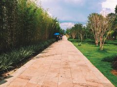 -神光山国家森林公园