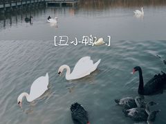 -宁波杭州湾国家湿地公园