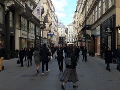 -斯蒂芬主教座堂(Stephansdom)