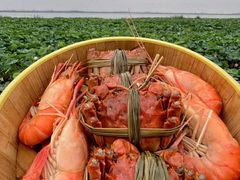 -七的湖·晚芳亭·阳澄湖农家菜·大闸蟹(莲花岛店)