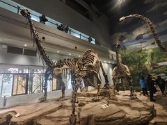 -自贡恐龙博物馆