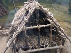 -太阳部落