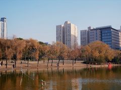 -黄兴公园