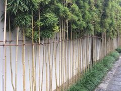 iphone_upload_pic-书香府邸·平江府