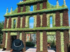 -武清南湖绿博园