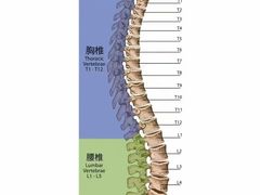 -体博士·疼痛调理·体态矫正·运动康复中心(大望路华贸店)