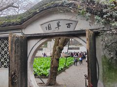 -绍兴鲁迅故里·沈园景区