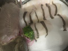 -红鼎豆捞·专注品质海鲜20年(宝丰路店)