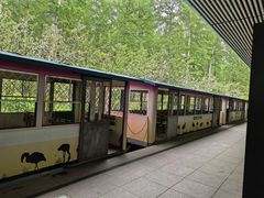 -秦皇岛野生动物园