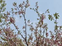 -梁鸿国家湿地公园