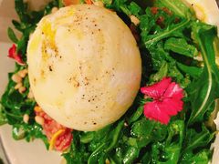 -TOMATITO(无限极荟店)