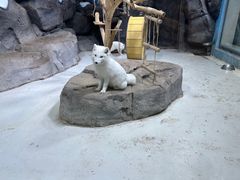 -海合安青岛极地海洋公园
